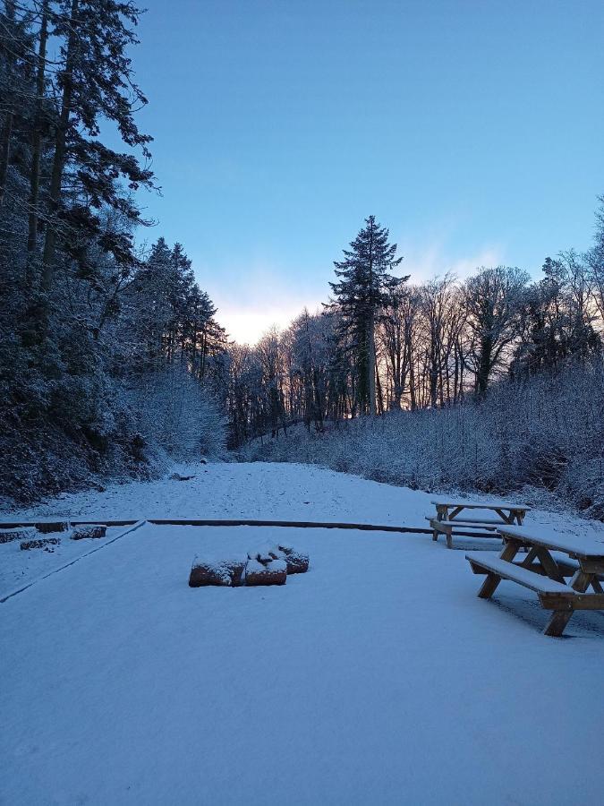 The West Wing At Eriviat Hall Hot Tub Henllan  Exterior photo